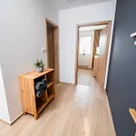 Na Satině Apartman Malenovice